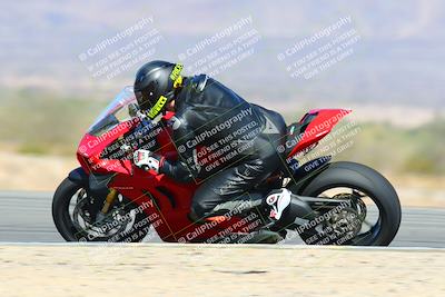 media/Feb-12-2022-SoCal Trackdays (Sat) [[3b21b94a56]]/Turn 12 Inside Speed Shots (11am)/